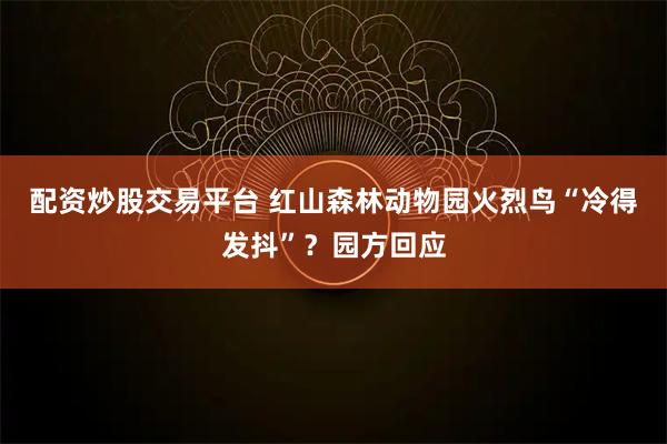配资炒股交易平台 红山森林动物园火烈鸟“冷得发抖”？园方回应